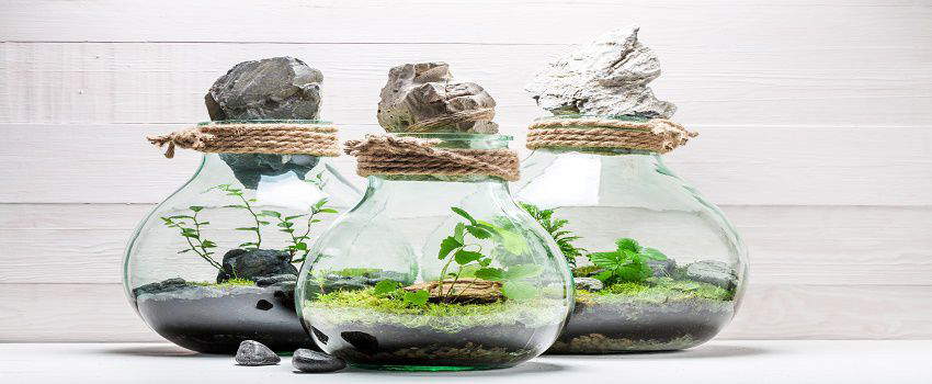 diy-jardin-dans-une-bouteille-post