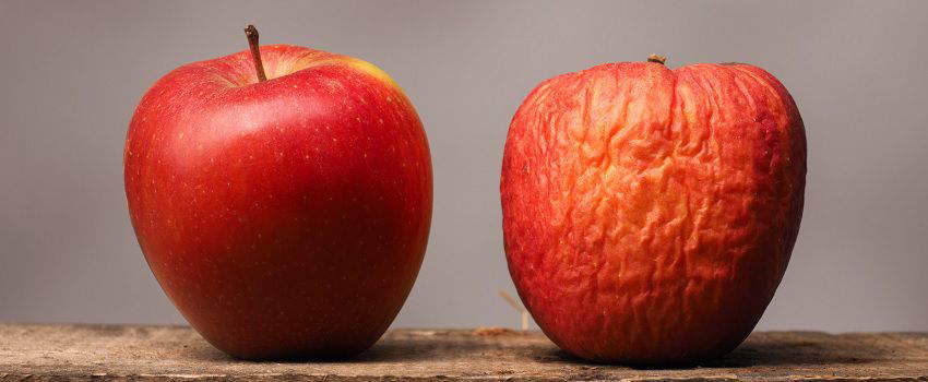 fruits-legumes-perimes-post