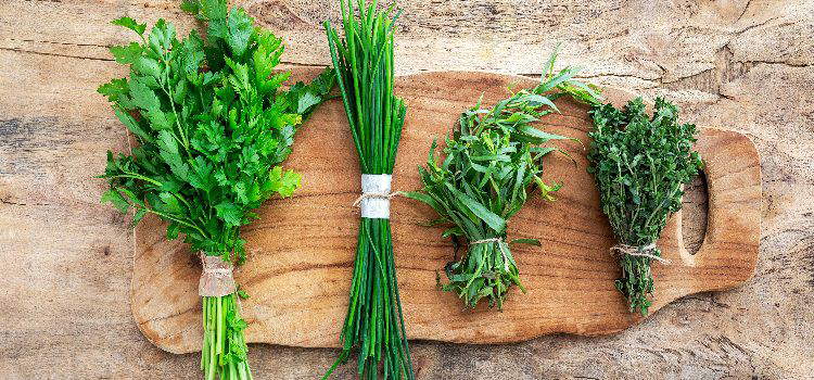 herbes aromatiques pas cheres