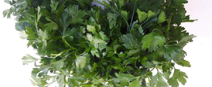 quest-ce-que-les-plantes-emmenagogues-post
